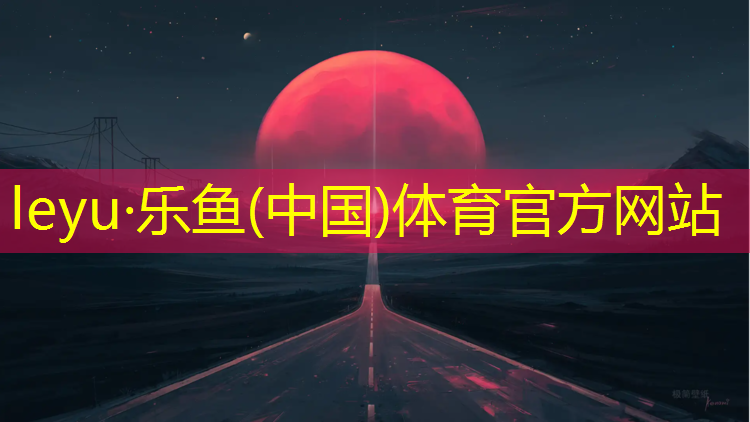 乐鱼体育,滁州网球网铺设