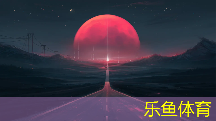 滁州网球网铺设