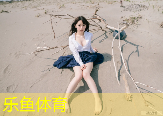 踏步机健身器材